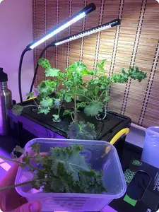 Deep water culture suspends roots in aerated nutrient solution. It needs very few parts, and this is how to build one and why it suits a first system.