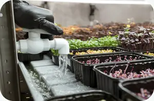 Ebb and flow floods the roots then drains them, because not every plant likes sitting in water. How the system works, and how to build one.