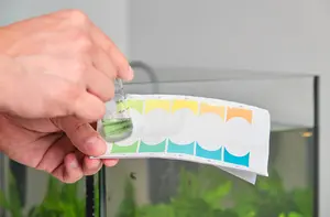 What is hydroponic fertiliser? Whether plants grow in soil or in hydroponics they need nutrients, and hydroponic plants depend on fertiliser entirely.