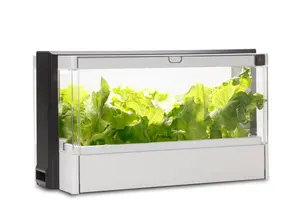 Building your own hydroponic system is a great idea, but not everyone has the time or resources to do so. A hydroponic herb garden kit is a great alternative!