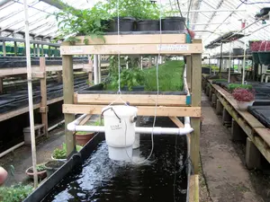 There are many categories of system within the hydroponic family, one of which is aquaponics. But what is the difference between hydroponics and aquaponics?