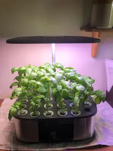 LetPot LPH-Max with basil growing in every pod