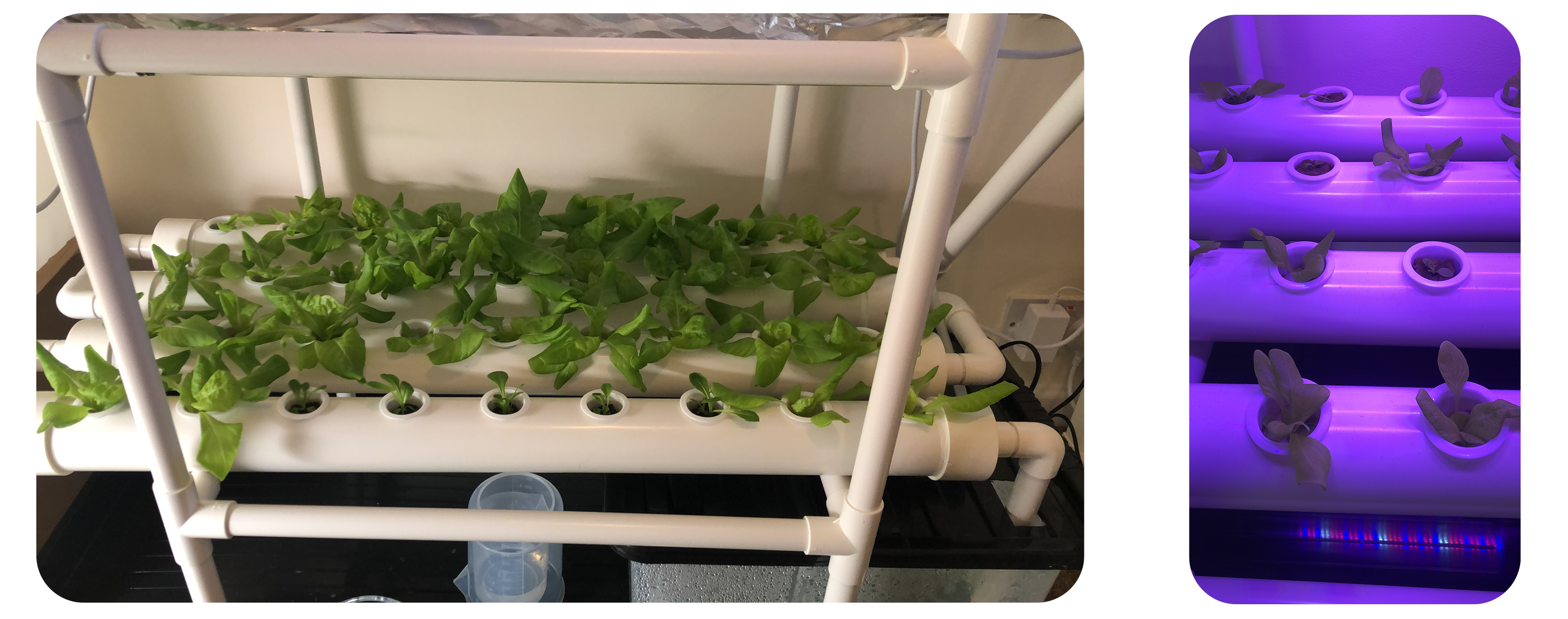 NFT Hydroponic System