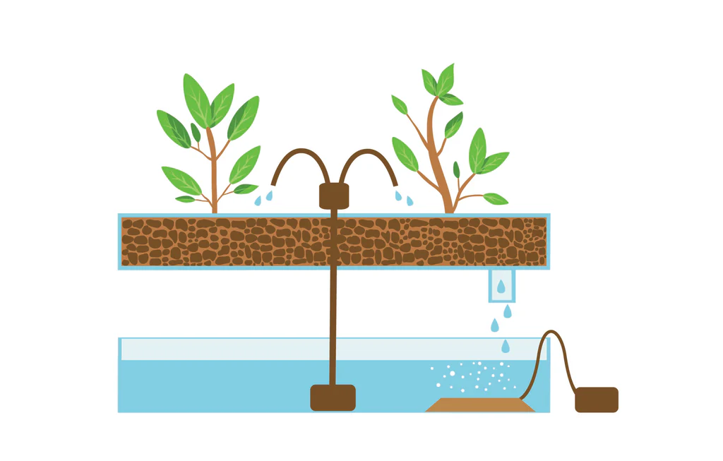 Hydroponic Drip System
