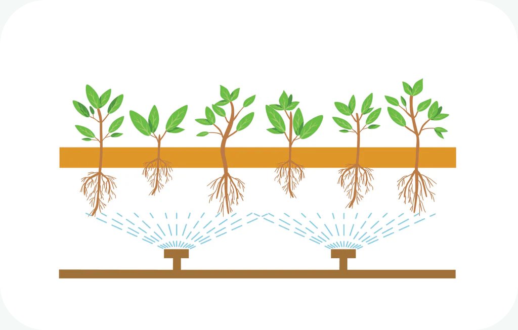 Aeroponics Aeroponics
