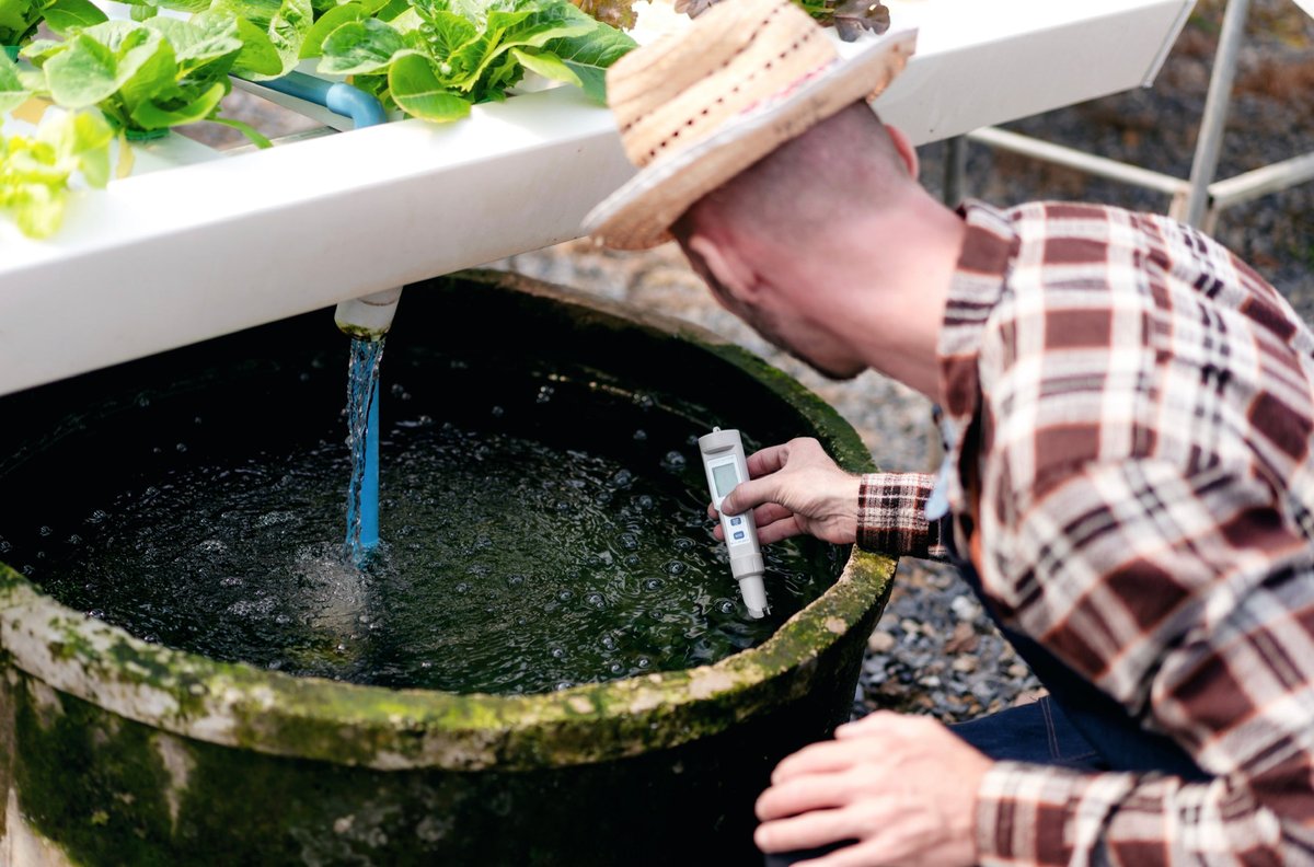 Maintaining and Cleaning Your Hydroponic System - Man Maintaining and Cleaning Your Hydroponic System - Man