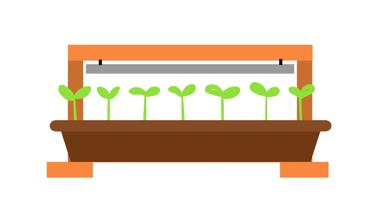 DIY Wood Grow Light Stand - Graphic DIY Wood Grow Light Stand - Graphic