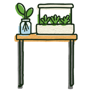 A small hydroponic kit and a jar on a table