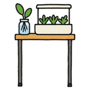 A small hydroponic kit and a jar on a table