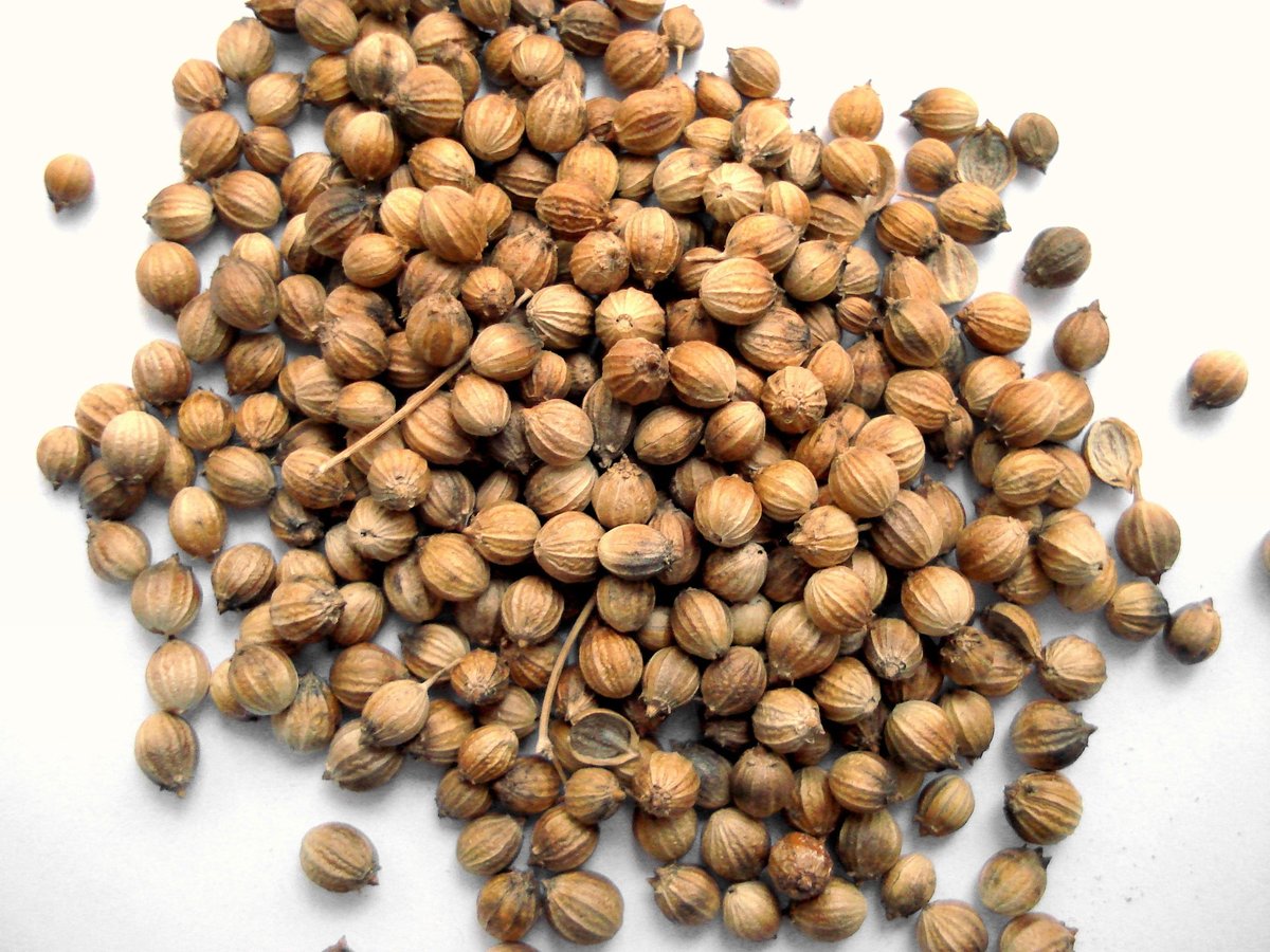 Hydroponic Gardening at Home - Choosing Plants and Seeds