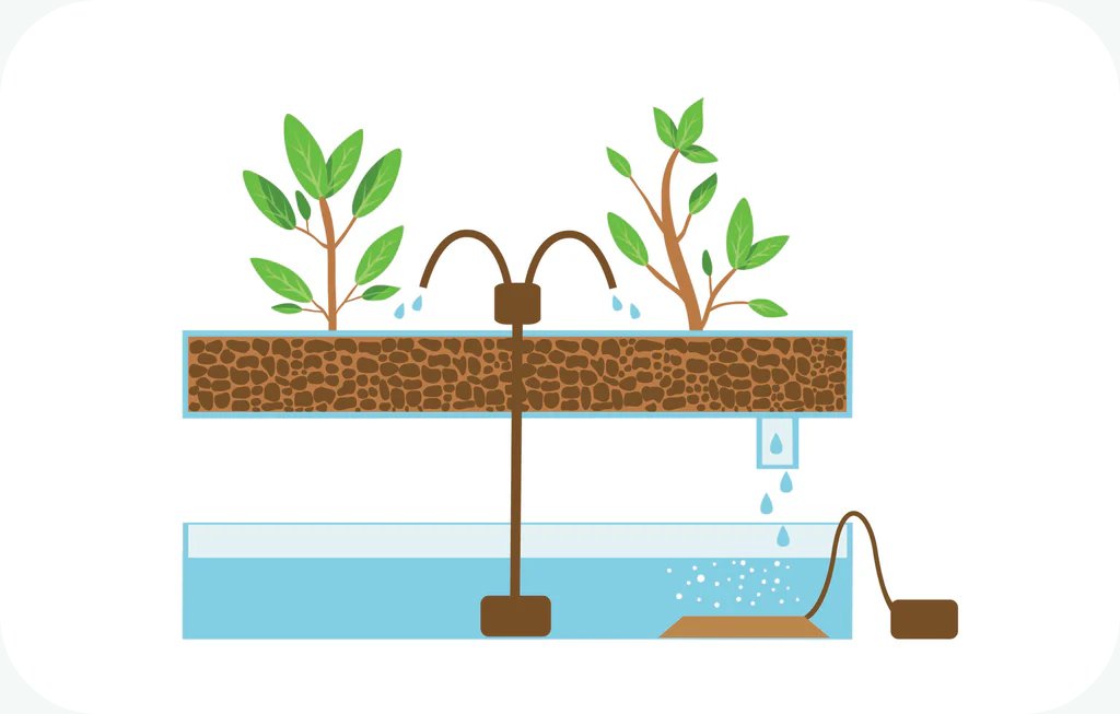 Hydroponic Drip System Hydroponic Drip System