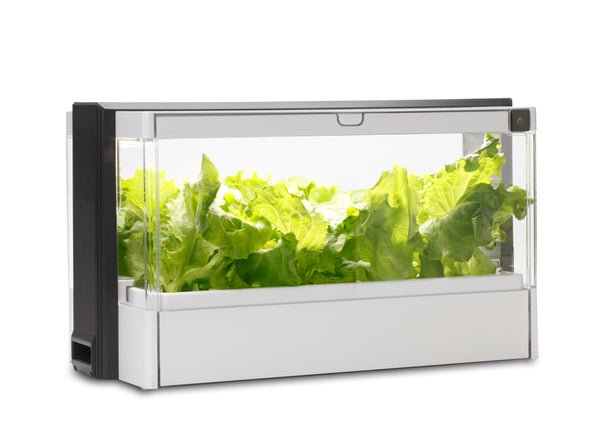 Hydroponic Herb Garden Kit - A Great Alternative to DIY