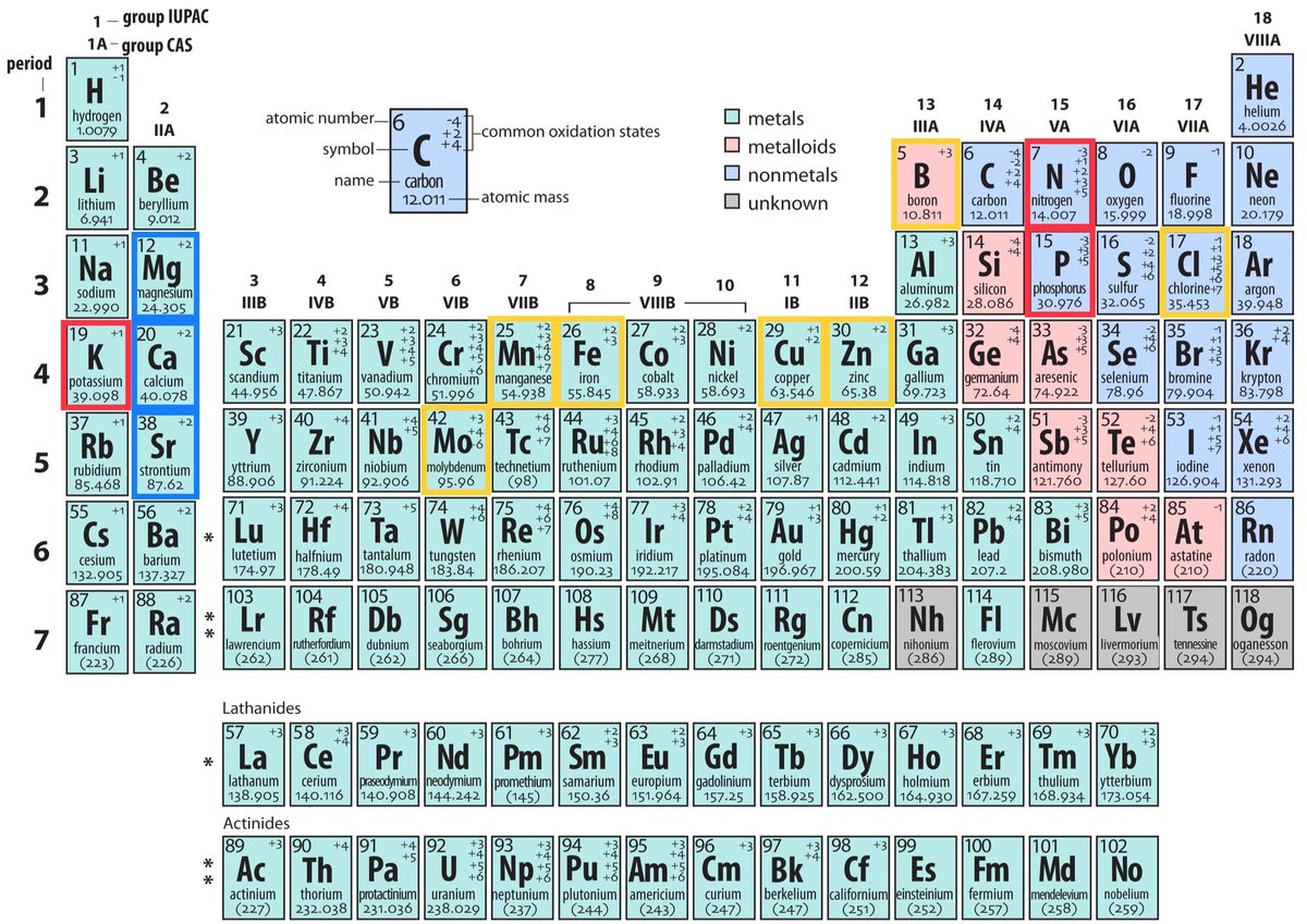 Hydroponic Nutrients Guide for Beginners