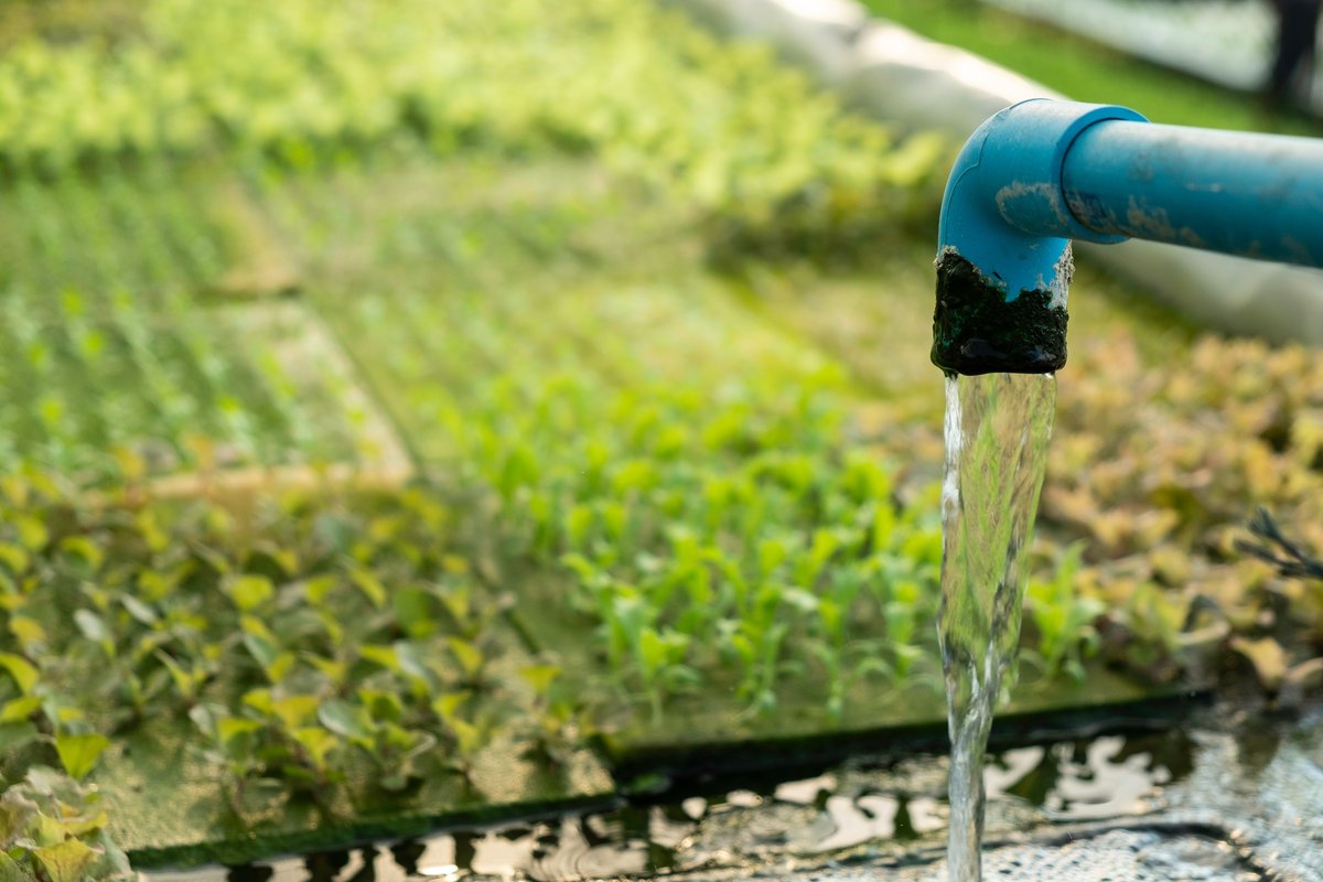Hydroponic Systems' Running Costs