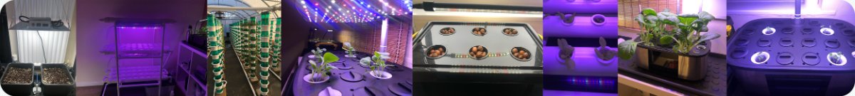 Hydroponic Systems Hydroponic Systems