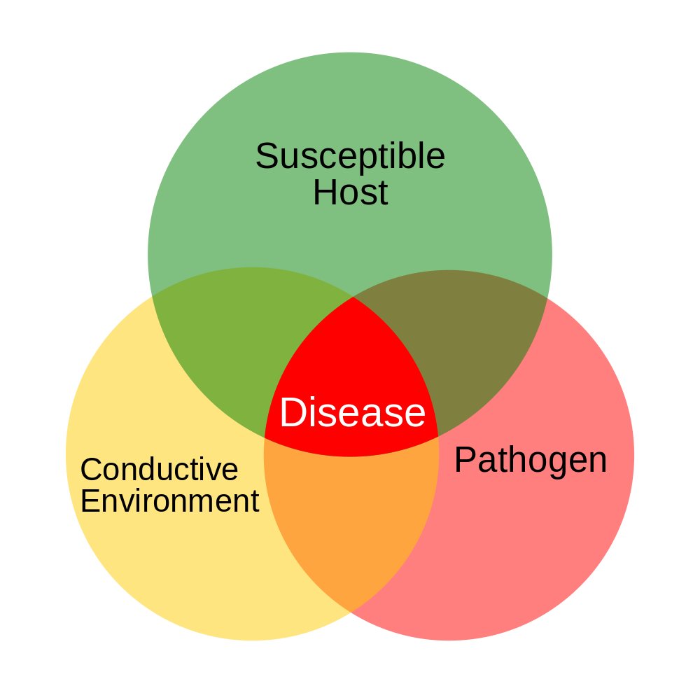 Hydroponic Water Temp - Disease Triangle
