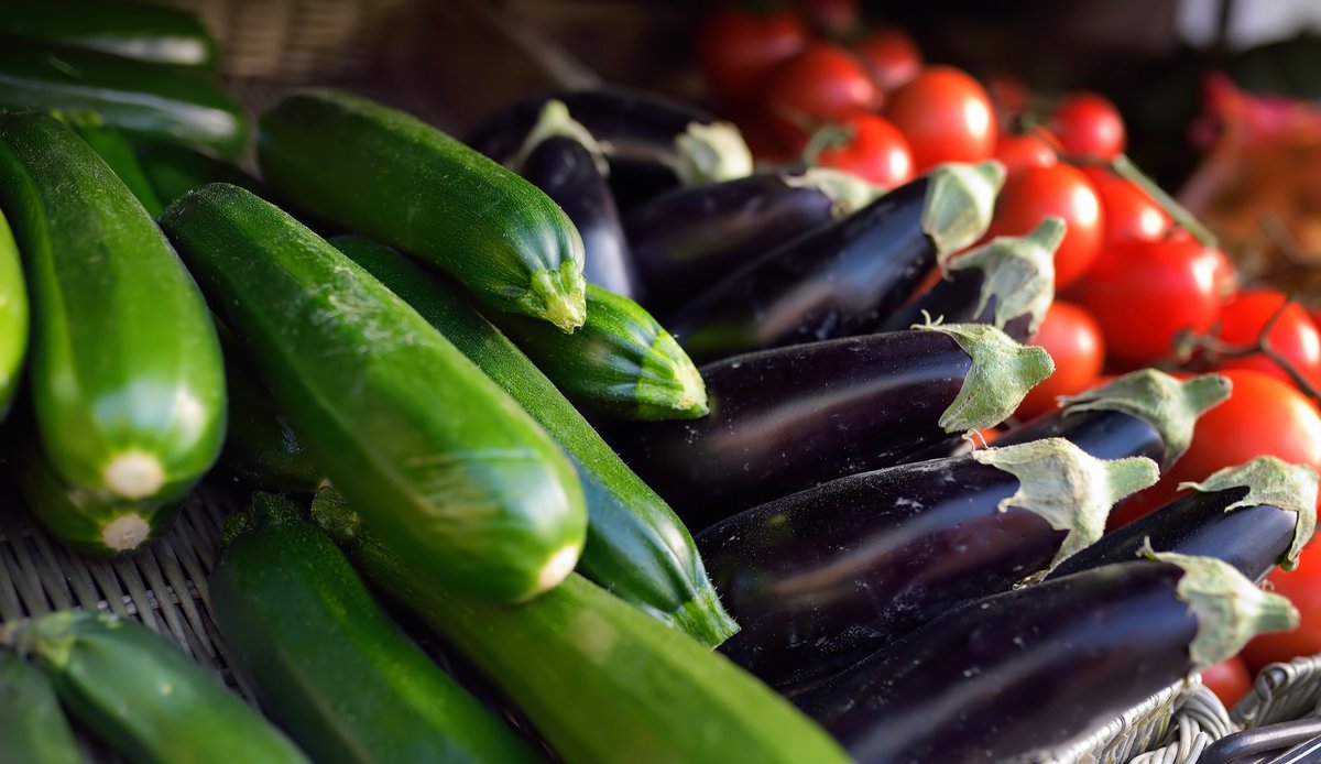 Hydroponics vs Aeroponics Explained