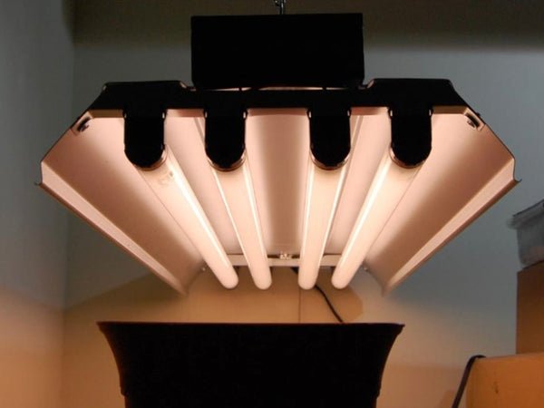 The Best Indoor Herb Grow Light for You