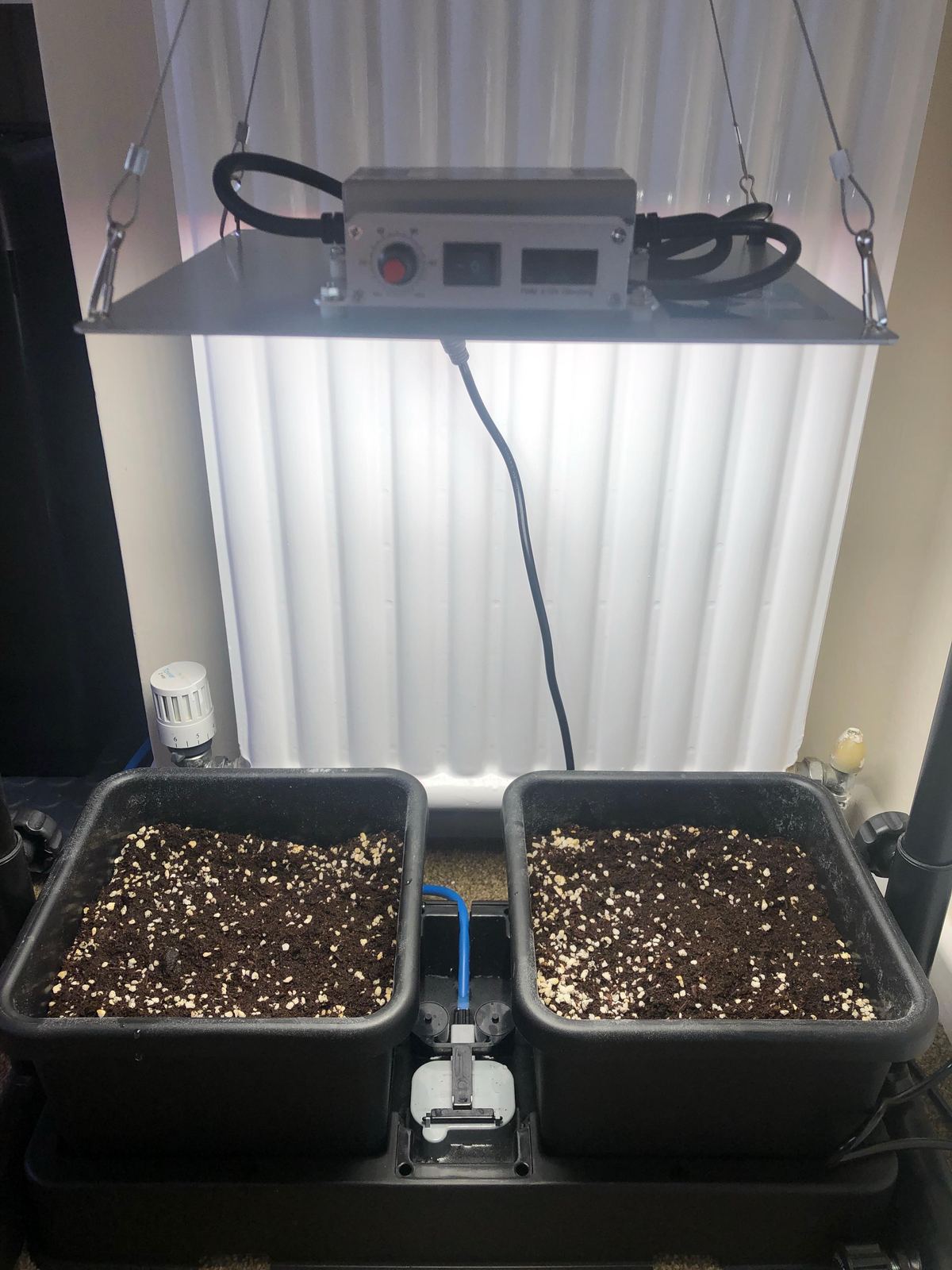 Two AutoPot pots on their tray, ready for planting