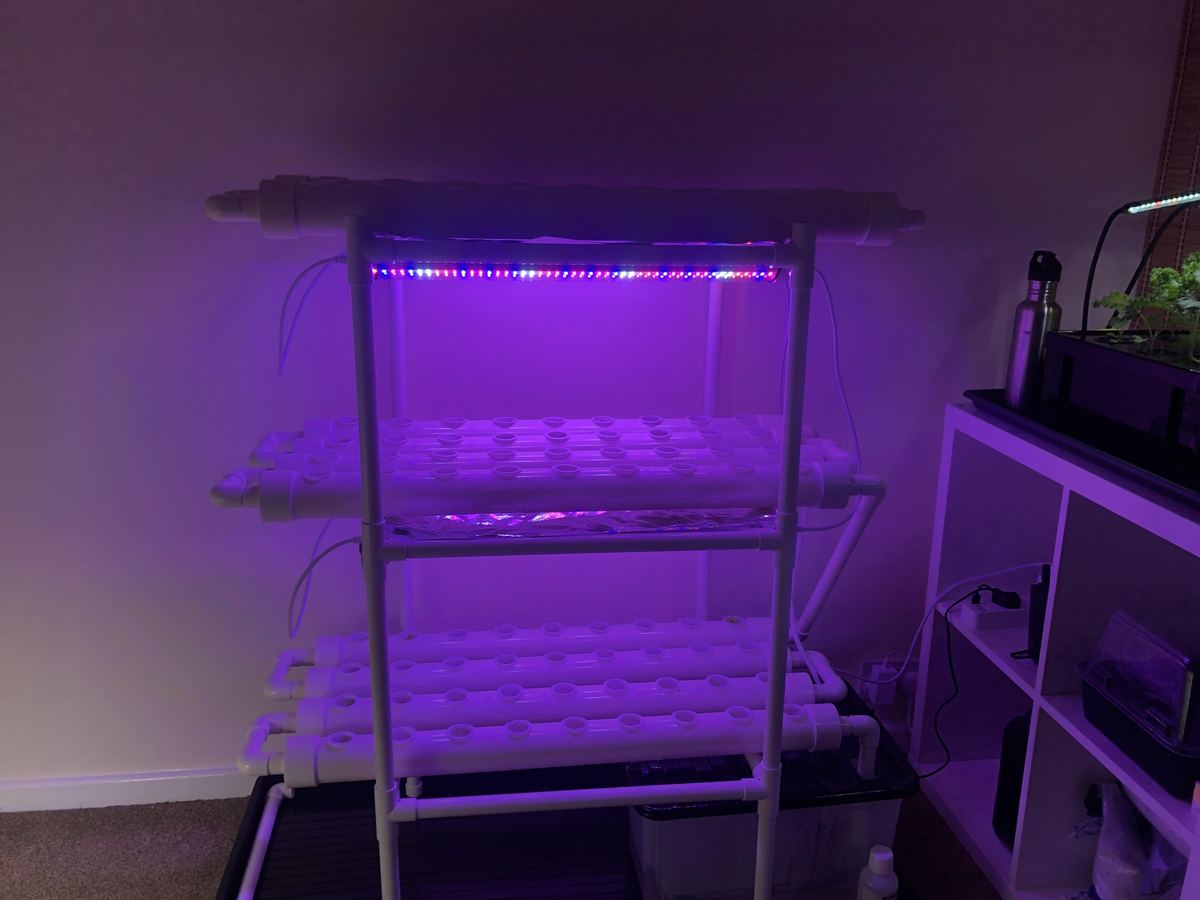 Charlie’s NFT channel rack under LED strip lights