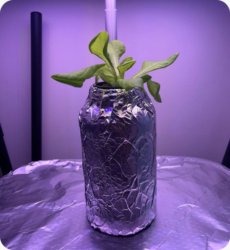 Kratky Method Kratky Method