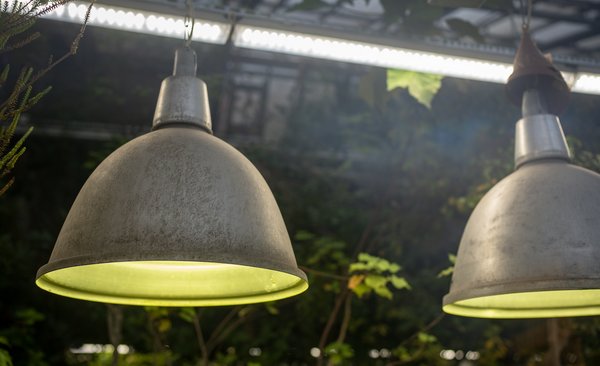 What is Light Intensity and How is it Used?