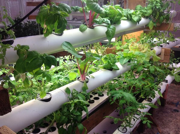 PVC Hydroponic System - PVC System