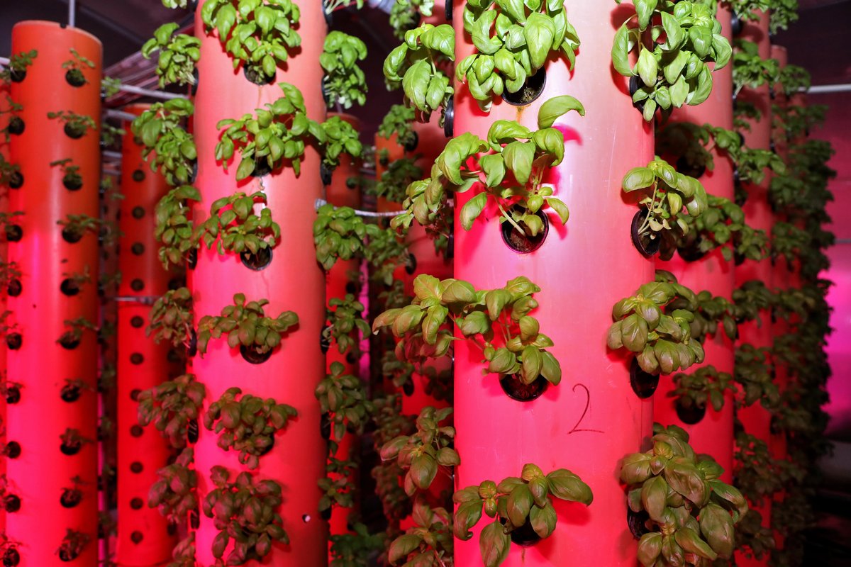 Vertical Hydroponics Tower - PVC